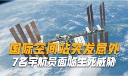 俄罗斯卫星爆料最新消息,最新局势动态揭秘！”