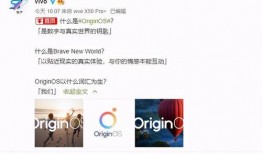 最新爆料官方消息,揭秘重大事件背后真相