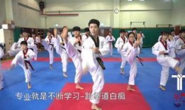 跆拳道最新爆料,神秘事件揭秘，高手对决背后的真相