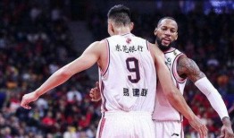 广东宏远最新爆料,揭秘球队备战新赛季的神秘计划！”