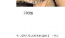 娱乐圈最新爆料小说推荐,揭秘最新爆料背后的秘密