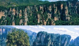 吃瓜最新事件爆料张家界,吃瓜群众揭秘最新神秘事件