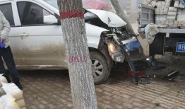 2025杞县柿园车祸最新爆料,最新爆料揭示悲剧真相