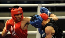 最新拳击爆料新闻事件,最新爆料揭示惊天内幕