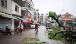 湖西路最新爆料,揭秘神秘项目背后的惊人真相