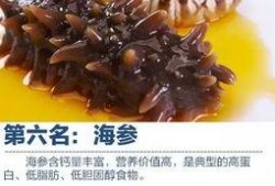 海参最新爆料视频,揭秘海洋珍品背后的秘密与价值