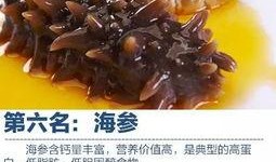 海参最新爆料视频,揭秘海洋珍品背后的秘密与价值