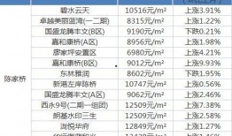 重庆轻轨司机爆料视频最新,揭秘轻轨运行背后的惊险瞬间