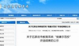 石家庄教校爆料最新消息,重大改革动态揭秘