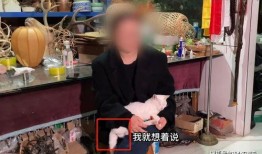 徐州爆料博主事件最新,真相与争议交织的网络风暴