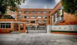 南京小学爆料新闻事件最新,揭秘校园安全与教育监管问题