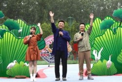 行唐爆料人被抓视频最新,真相与争议交织