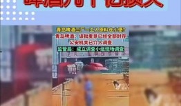 啤酒最新爆料视频,口感升级，工艺革新，啤酒新潮流来袭！