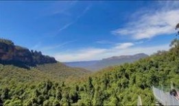 蓝山6期最新爆料,重磅爆料背后的故事与真相